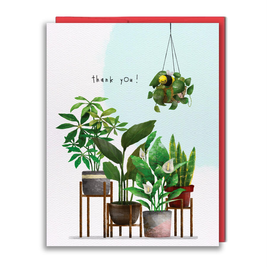 TY 003a - Thank You Plants